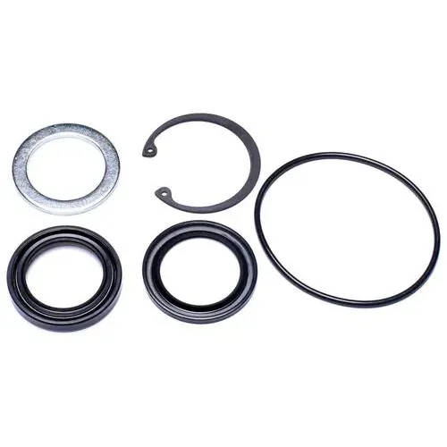 Precision Power Steering Steering Gear Pitman Shaft Seal Kit – 28401096