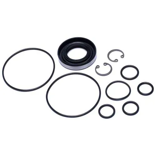 Precision Power Steering P/S Pump Seal Kit – 28401112