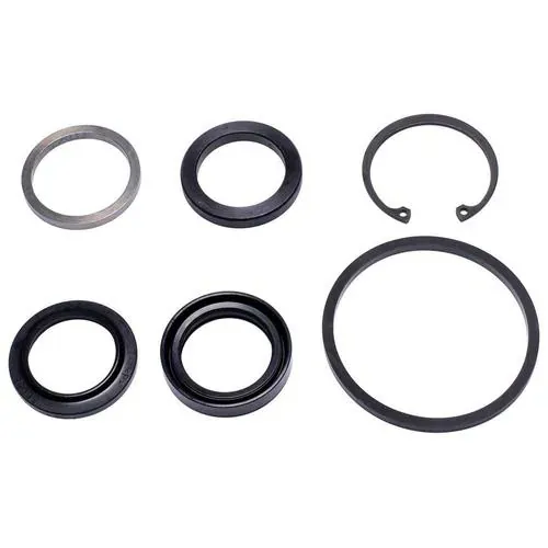 Precision Power Steering Steering Gear Pitman Shaft Seal Kit – 28401121