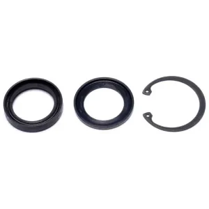 Precision Power Steering Steering Gear Pitman Shaft Seal Kit – 28401174