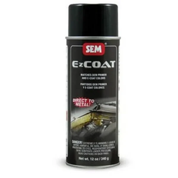 SEM Paints 62253 EZ Coat – Tan, 16oz Aerosol Can