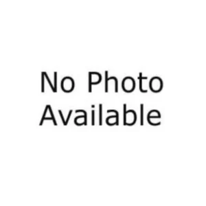 Astro Pneumatic Tree Burr 3-3/8 x 3/4 Inch (2181-07)