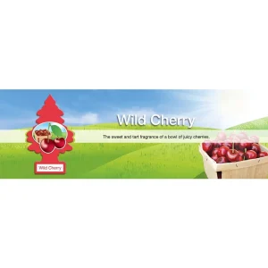 Little Trees Air Fresheners 6-Pack Wild Cherry - view 3