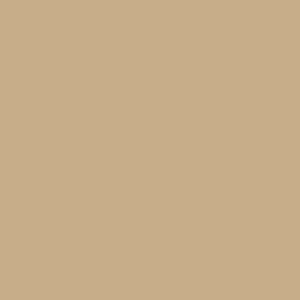 Dupli-Color 12oz Cummins Beige Engine Enamel Spray Paint (DE1638) - view 2