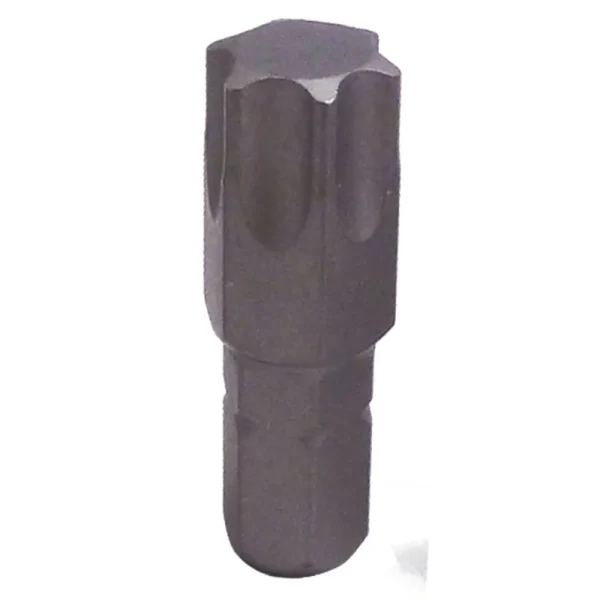 5/16″ X 1-1/4″ T55 TORX BIT