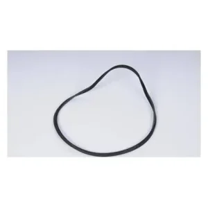 ACDelco A/T Clutch Piston Seal – 8679007