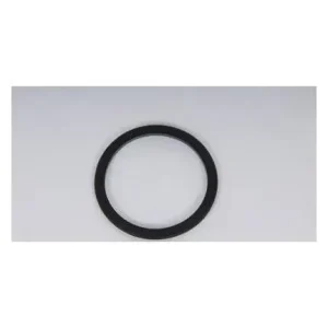 ACDelco A/T Clutch Accumulator Piston Seal – 8679088