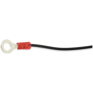MSD Ignition Crankshaft Position Sensor Magnet – 8154 - view 3