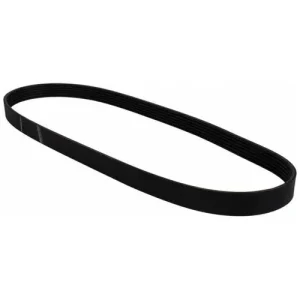 Motorcraft Serpentine Belt – JK6441 - view 2