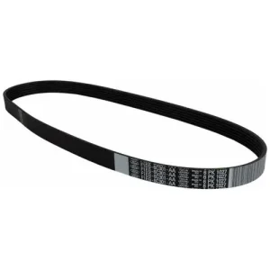 Motorcraft Serpentine Belt – JK6441 - view 3