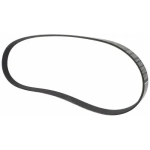 Motorcraft Serpentine Belt – JK6455D - view 3