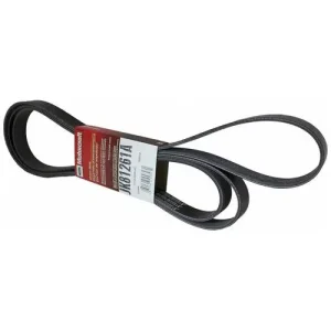 Motorcraft Serpentine Belt 8 Rib 126-1/16 Inch – JK81261A