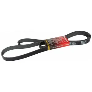 Motorcraft Serpentine Belt 8 Rib 126-13/16 Inch – JK81267A - view 2