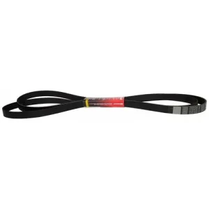 Motorcraft Serpentine Belt 8 Rib 135-5/16 Inch – JK81353 - view 2