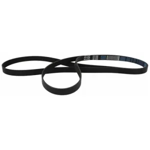 Motorcraft Serpentine Belt – JK81356 - view 3