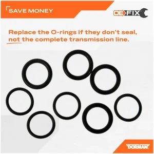Dorman HELP! Transmission Line Connector O-Rings – 66236 - view 4