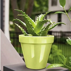 Colormaxx K05512007 Spray Paint and Primer for Indoor/Outdoor Gloss Citrus Green - view 3