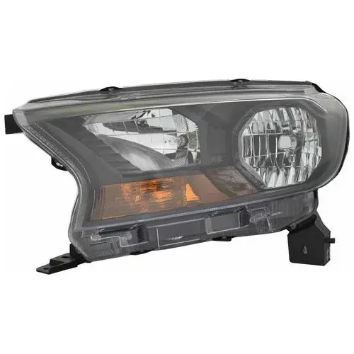 TYC Headlight Assembly – FO2502383C