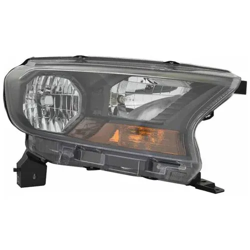 TYC Headlight Assembly – FO2503383C