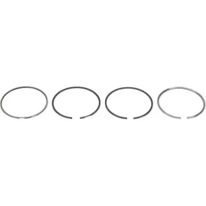 FP Diesel Piston Ring – FP4089810