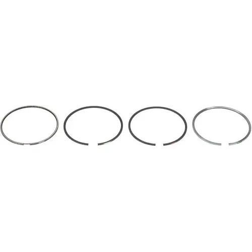 FP Diesel Piston Ring – FP4089810