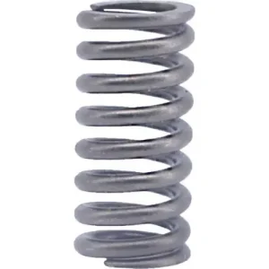 FP Diesel Valve Spring – FP5147347
