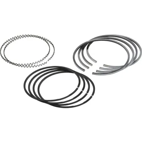 FP Diesel Single Piston Ring Set – FP5193477