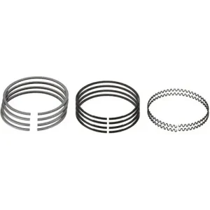 FP Diesel Single Piston Ring Set – FP5198822
