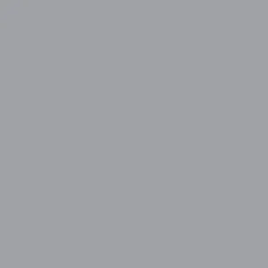 Dupli-Color 8oz GM Gray Metallic Automotive Spray Paint (BGM0534) - view 2