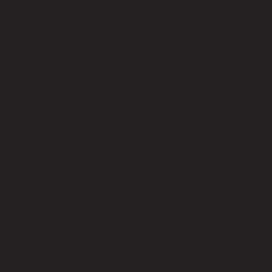 Dupli-Color 12oz Flat Black Acrylic Enamel Spray Paint (PAE102) - view 2