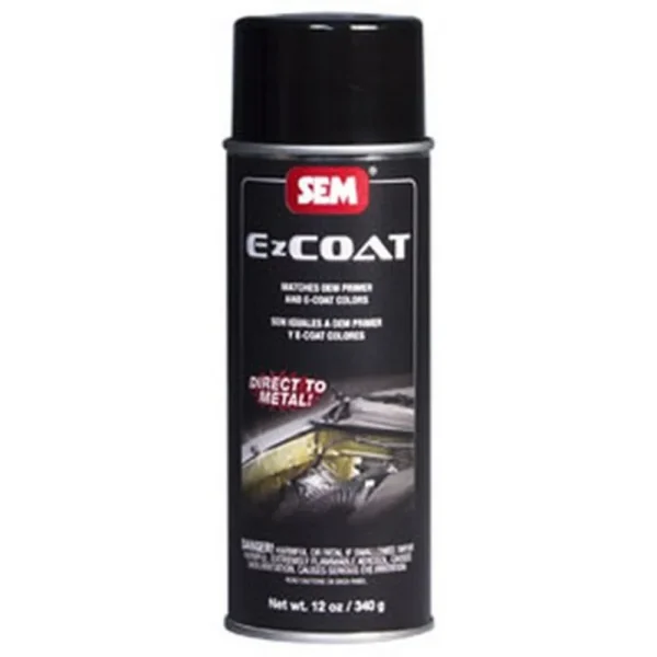 SEM Paints 62273 EZ Coat – White, 16oz Aerosol Can