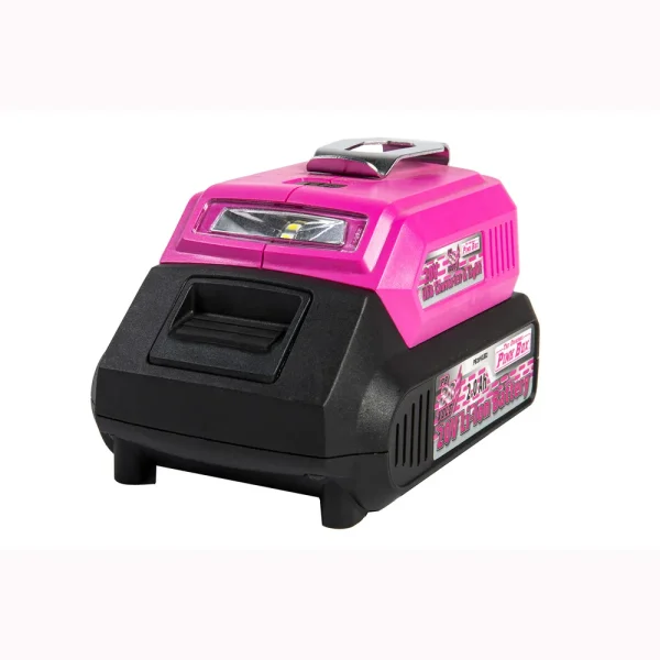 The Original Pink Box 20-Volt Battery Adapter (PBUSB_2Ah_CHRGR)