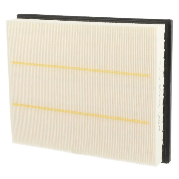 MicroGard Air Filter – MGA10909