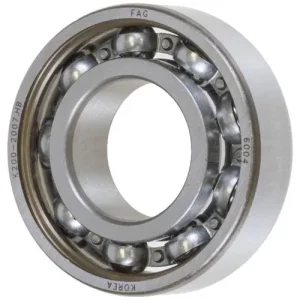 Schaeffler Steering Pump Shaft Bearing – 6004