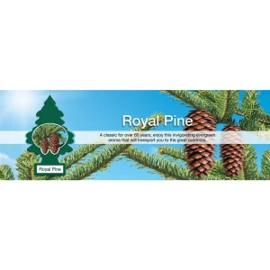 Little Trees Air Fresheners 6-Pack Royal Pine - view 3