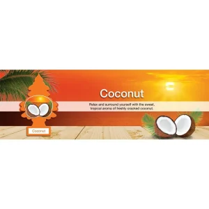 Little Trees Air Fresheners 6-Pack Coconut - view 3