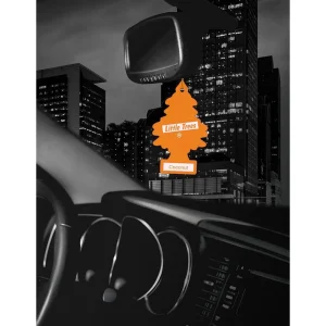 Little Trees Air Fresheners 6-Pack Coconut - view 4