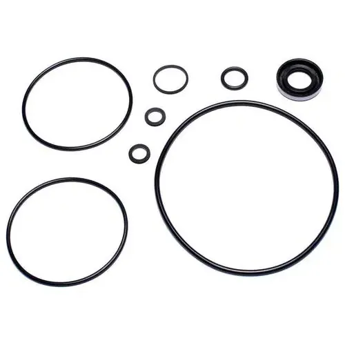 Precision Power Steering P/S Pump Seal Kit – 28401019
