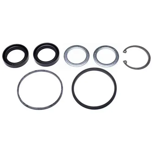 Precision Power Steering Steering Gear Pitman Shaft Seal Kit – 28401035