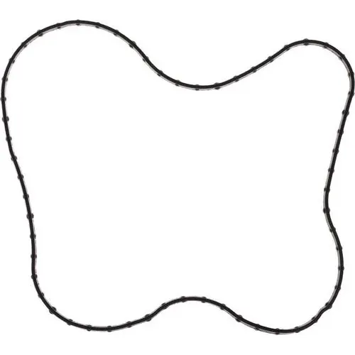 MAHLE Water Pump Gasket – K33248