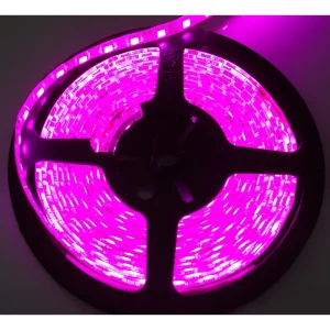 Race Sport 16ft (5M) 5050 LED Custom Tape Strip IP67 Purple Lighting System (1004028)