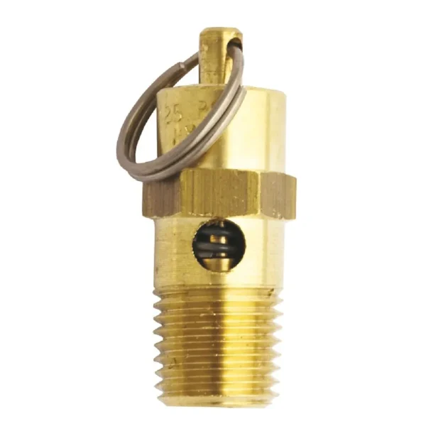 Milton 1095-125 1/4″ MNPT Non Coded Safety Relief Valve