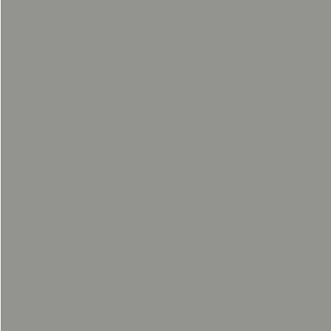 Dupli-Color 8 Oz Chrysler Bright Platinum Automotive Paint (BCC0417) - view 2