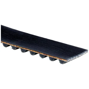 Gates PowerGrip Timing Belt – T242