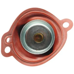 Standard Ignition Carburetor Accelerator Pump Plunger Kit – FM160-71 - view 2
