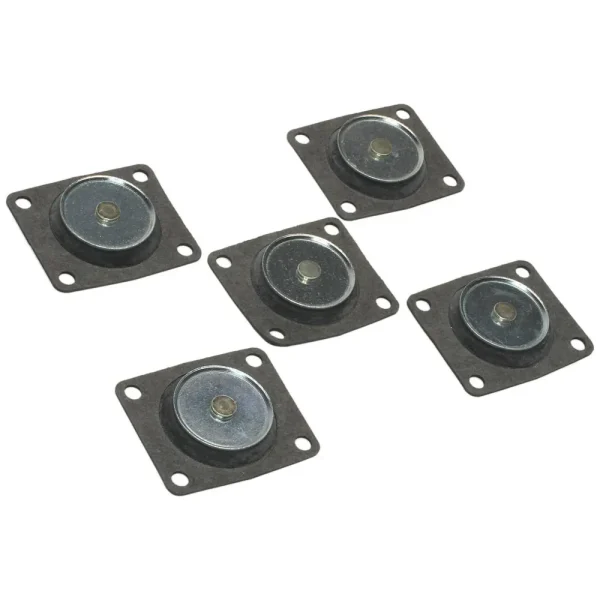Standard Ignition Carburetor Accelerator Pump Plunger Kit – FM64-159R