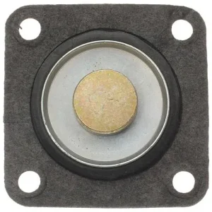 Standard Ignition Carburetor Accelerator Pump Plunger Kit – FM64-378