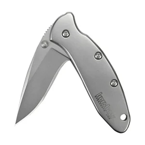 Kershaw 1600 Chive Pocket Knife, 1.9 Inch 420HC Steel Blade - view 2
