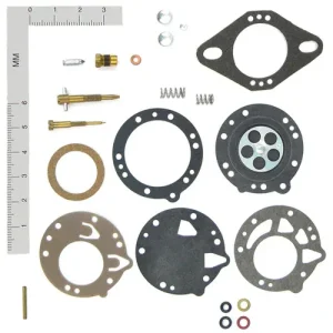 Walker Products Carburetor Tune-Up Kit – 15971