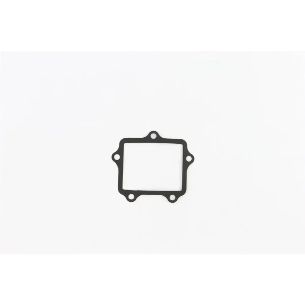 Cometic Aluminum Fiber (AFM) Intake Gasket – IR114018AFM
